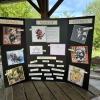 20240420_214155681_iOS