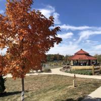 311192840_10222742553695684_7740061668155917985_n